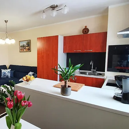Apartment Teo *